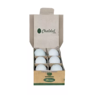 হাঁসের ডিম ৬ টি