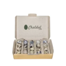 কোয়েল পাখির ডিম ২০ টি