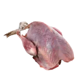 কবুতরের মাংস ১ পিস