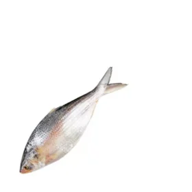 আস্ত ইলিশ ± ৪০গ্রাম ৮০০ গ্রাম